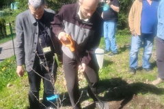 IMG_20250426_151806776_HDR