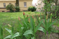 IMG_20230502_115645