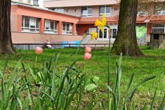 IMG_20230502_115709