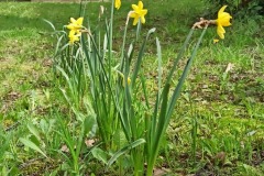 IMG_20230502_115720