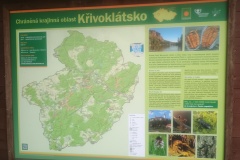 IMG_20250502_141256530