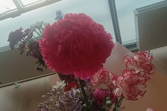 IMG_20250610_175559036