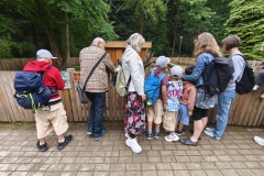 IMG_20250727_115935