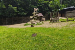 IMG_20250727_134305