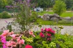 IMG_20250727_134925