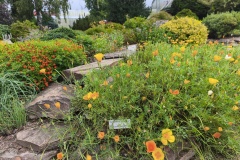 IMG_20250728_101932