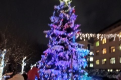 IMG_20241206_171127506