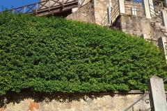 IMG_20260821_094424312_HDR