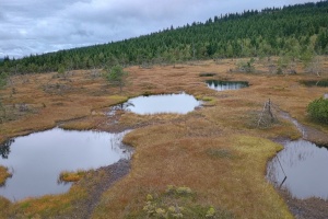 9.2025 Uklízíme Jizerky 4. - 7. 9. 2025