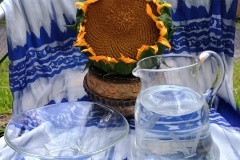 IMG_20250902_181708424_HDR