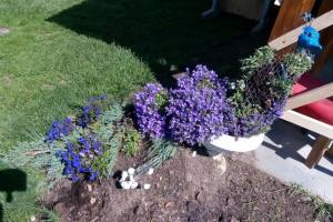 Květinová slavnost LOU 2019