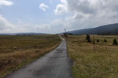 IMG_20220825_113919