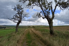 IMG_20210826_142848