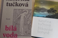 Bila-voda-Zitkovske-bohyne