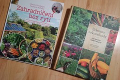 IMG_20241209_2041270582