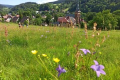 IMG_20220611_093626